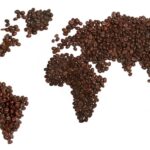 Coffee Around the World