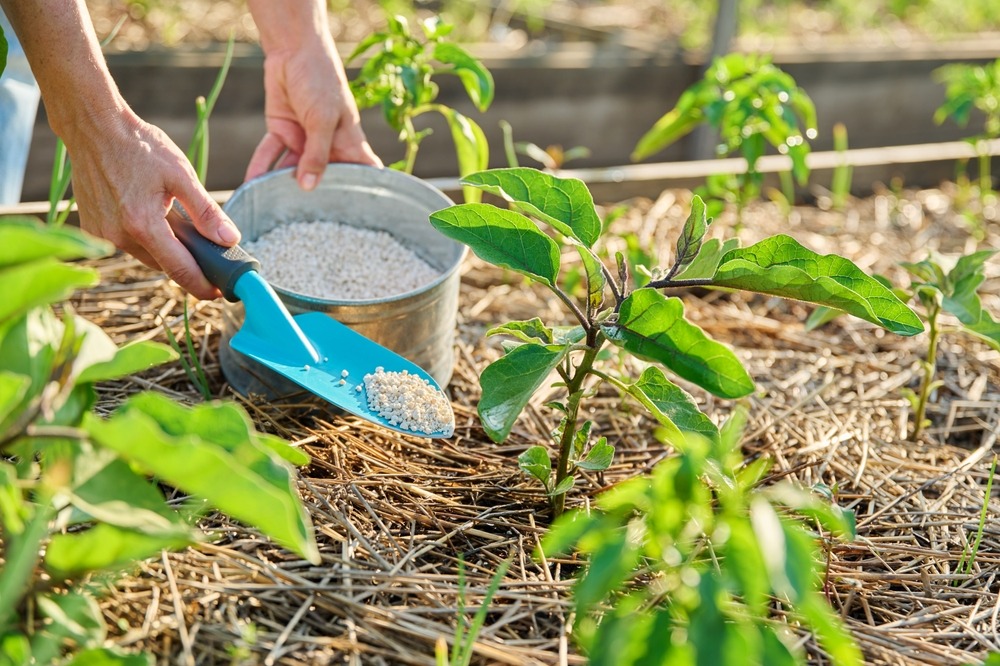 Prepping Your Garden, The Youngevity Way