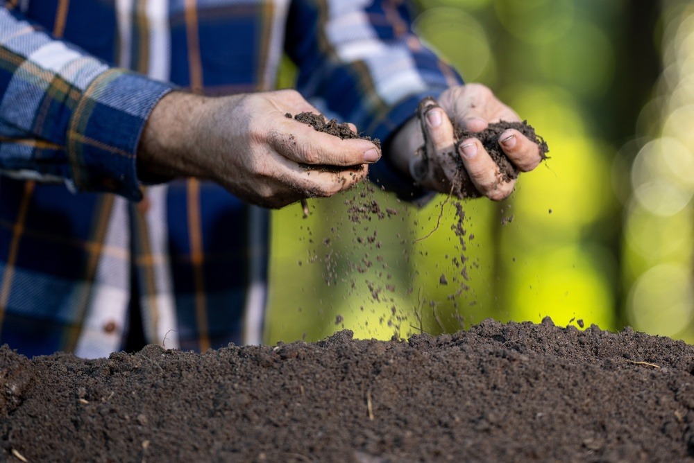 When to Plant